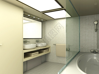 洗手间住宅卫生间建筑学家具镜子插图反射浴缸公寓装设图片