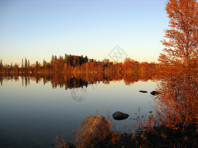镜像湖中的红树回流风景季节来源水道天气衬套天空叶子公园摄影图片