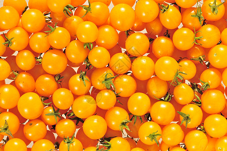西红柿炒鸡蛋樱桃番茄沙拉植物烹饪美食宏观香料生产蔬菜水果圆圈背景