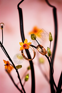 结婚戒指庆典夫妻礼物浪漫誓言订婚金子反射珠宝图片