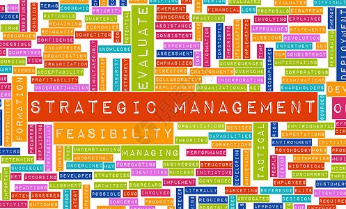 战略管理学习利润战术定位脚步可行性职业商业评价概念图片