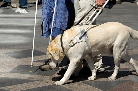 向导狗犬朋友工作人士帮助技巧残障男人帮手传感指导图片