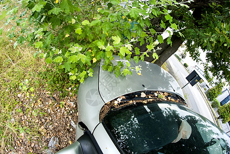 汽车对抗一棵树 意大利垃圾身体引擎速度保险车轮金属运输损害粉碎图片