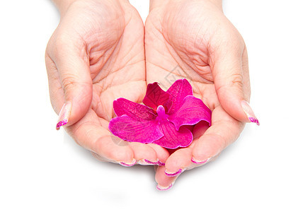 用女人手的兰花抛光皮肤保健花瓣表皮沙龙指甲护理异国奶油图片