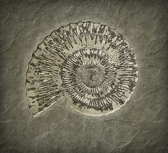 溶化石头沙漠菊石公园科学天空地面地球森林假期图片