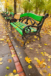 秋天公园 风雨天气树木座位街道金子橙子季节花园公园风景车道图片