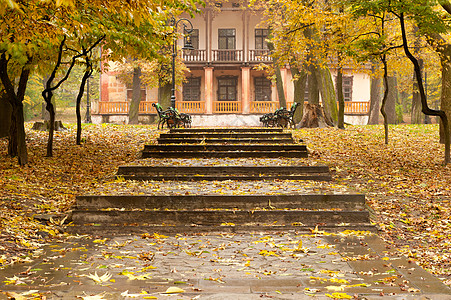 秋天公园 有一条通往大楼的步行道公园楼梯车道衬套街道大街建筑金子橙子季节图片