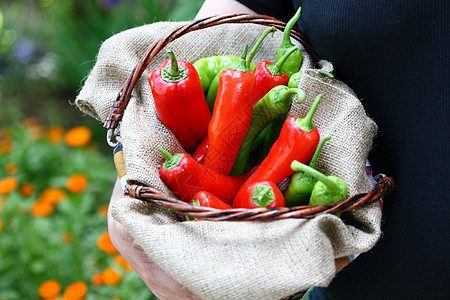 男人拿着一篮子的红绿皮条人午餐沙拉胡椒饮食厨房绿色水果香料香肠植物图片