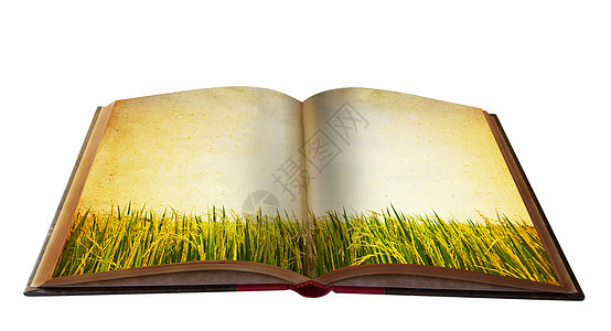 用于您教育馆藏的带有景观视图的魔术书专辑学校旅行大学土地想像力环境植物教育森林图片