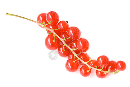 红外水果甜点饮食营养植物食物宏观浆果季节美食图片