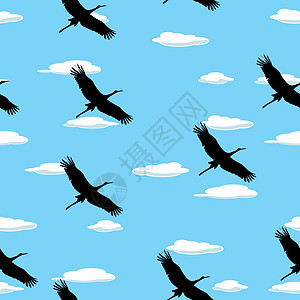飞行鸟类模式图片