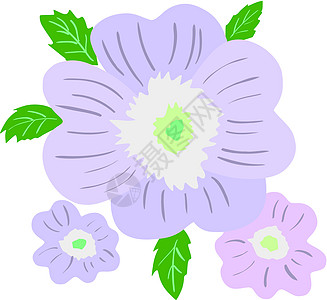 普里姆罗天鹅绒宏观花园叶子绘画季节假期紫色植物插图图片