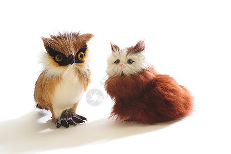 一对可爱的飞毛玩具 小猫和猫头鹰 孤立在白色背景上图片