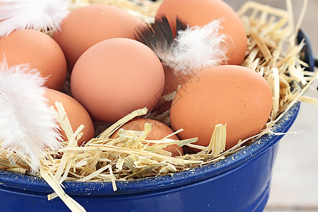 新鲜农场鸡蛋动物稻草免费范围干草乳制品离合器篮子饮料农业图片
