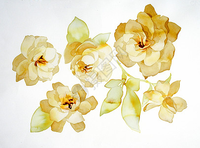 花朵植物群墙纸花瓣绘画调子玫瑰地面插图植物学叶子图片