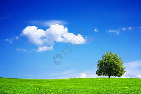 绿色星球地球环境日落蓝色全景行星天空季节爬坡牧场晴天图片