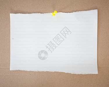 纸纸和针笔记纸指甲羊皮纸商业边界办公室公告木头软垫邮政图片