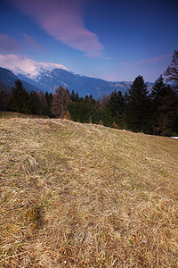 山花旅游自由假期蓝色顶峰高山风景土地岩石爬坡图片