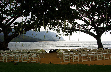 婚礼在海滩上图片