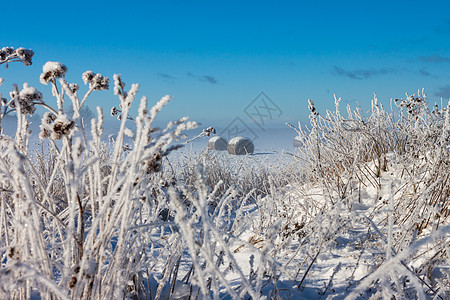 雪花篮子季节草地小麦天空稻草全景牧歌农村森林谷物图片