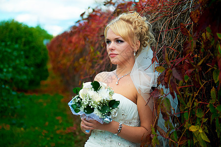 美丽的新娘的肖像头发裙子丝带奢华婚礼女孩化妆品工作室金发女性图片