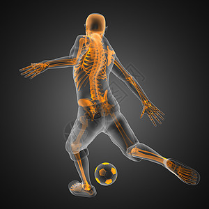 足球足球运动员娱乐放射科诡计骨头科学运动x光肋骨训练男人图片