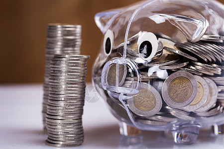 在小猪银行存钱 很多钱货币订金收益图表经济硬币钱盒生长小猪预算图片