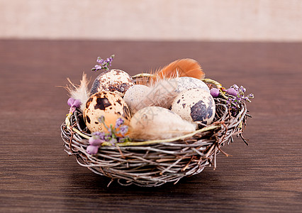 东边装饰 木上配有蛋美食庆典卡片熟食墙纸羽毛假期斑点食物季节图片