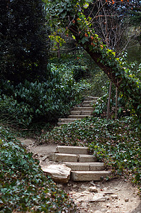 春天时间 一步进花园公园楼梯人行道途径远足环境石头小路场地叶子图片