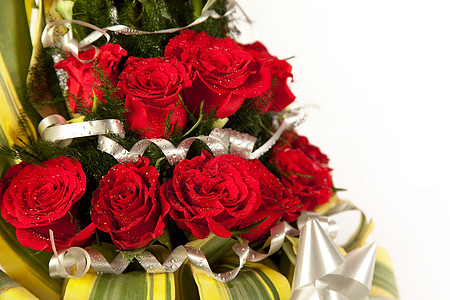 红玫瑰花 加上水滴紫色花瓣篮子节日收藏周年庆典问候语婚礼玫瑰图片