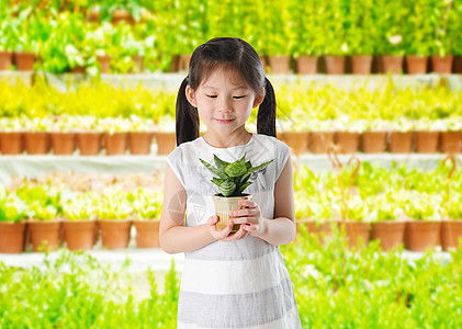 保存环境植物群生长教育苗圃叶子孩子园艺温室喜悦青年图片