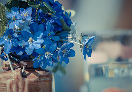 花瓶中的蓝绿野花(希帕蒂卡)图片