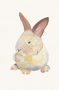 一只小兔子的手画水彩图片