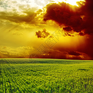 绿地的日落射线场景橙子天空培育牧场太阳光线辉光草原阳光图片