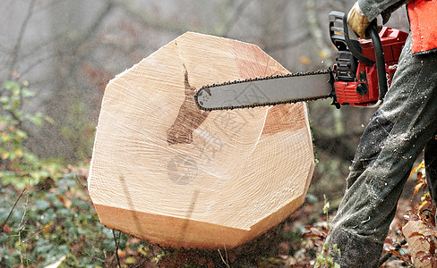 伐木木材木头记录器工具刀具树干木工人林业伐木工工作森林图片
