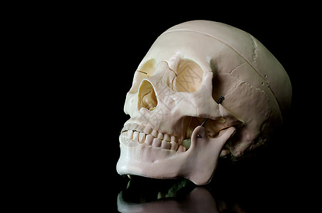 黑色背景的骨骼医生疗法乳突缝合眼睛物理头骨下颌上颌骨教学图片