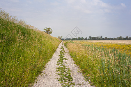 农村公路道路生物质人行道植物学踪迹种植园稻草蓝色场地土地燃料背景