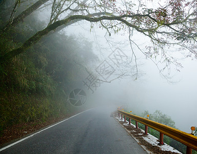 迷雾道路车道旅行土地热带小路城市薄雾国家阴霾沥青图片