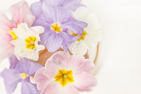 春花假期季节性季节鲜花植物花瓶暖心白色粉色花束背景图片
