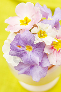 春花花束白色月见草鲜花粉色明信片蓝色紫色暖心花瓶背景图片