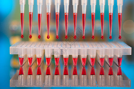 DNA分析 将反应混合物与m一起装入96well板块缓冲盘子装载机测序微孔水平dna血液核酶生物学图片
