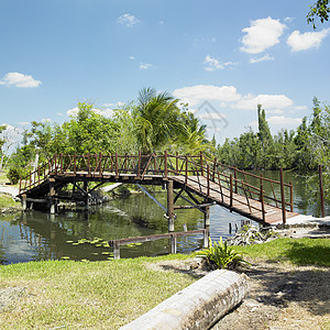 古巴马坦萨斯省关岛博卡手掌植被天桥世界旅行湖泊棕榈热带外观桥梁图片