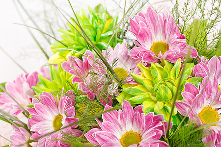 花束花朵母亲妈妈植物群菊花叶子雏菊粉色花瓣棕色丝带高清图片