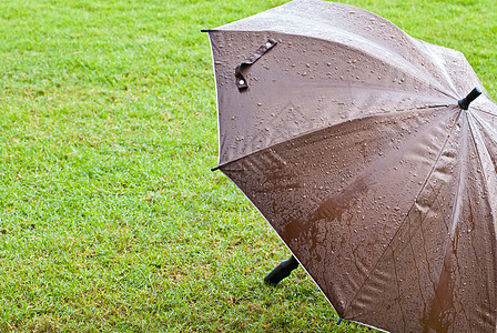 绿草上棕色雨伞图片