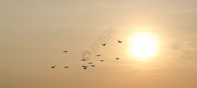 与白昼的日落和在天上的飞鸟海滩海浪海洋阳光镜子天空晴天太阳海岸线地平线图片