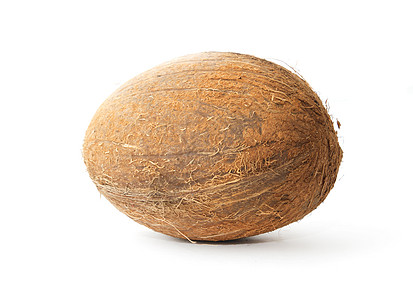 椰子白色背景晴天情调阴影异国木头水果热带植物营养棕榈图片