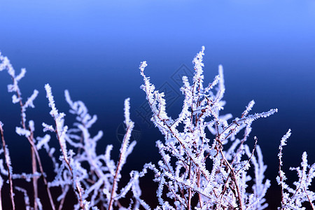 在寒雪中 冰雪与蓝色相交图片