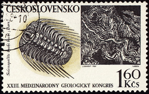 邮票上的山地和化石石化国会地质学挖掘古生物学地理邮戳历史沸石探索背景图片