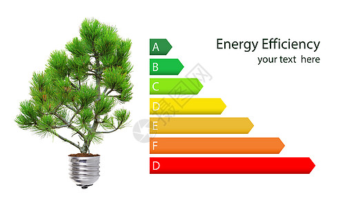 能源效率评分技术班级绿色图表松树活力白色经济红色生态图片