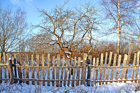 冬季花园的旧围栏障碍木材农场植物风景杂草场景城市寒意牧场图片